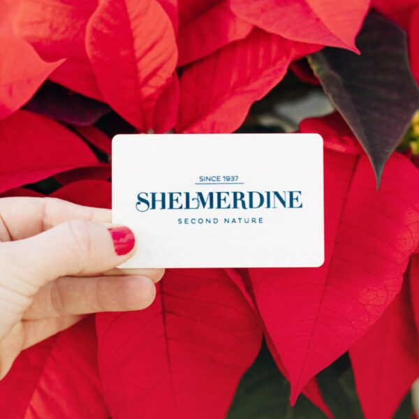 Shelmerdine $50 Fundraiser Gift Card