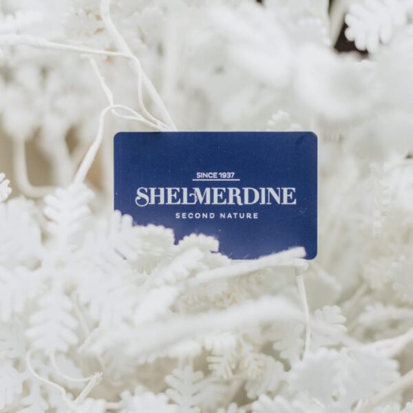 Shelmerdine $25 Fundraiser Gift Card