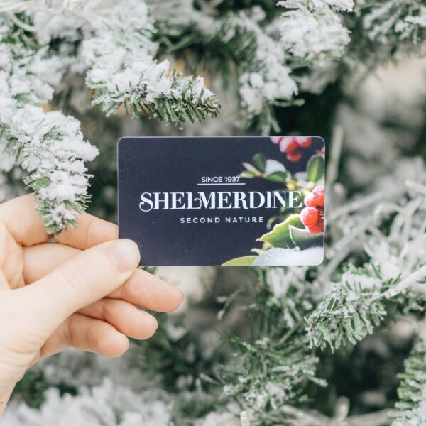 Shelmerdine $100 Fundraiser Gift Card