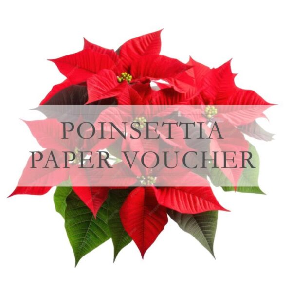 Poinsettia Paper Voucher